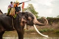 Elephant hapiness with water after Ordination parade on elephant